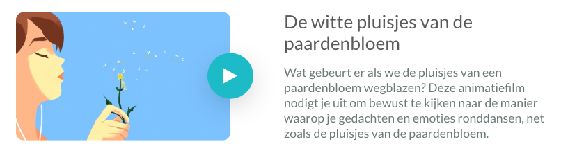 histoires_NL.png